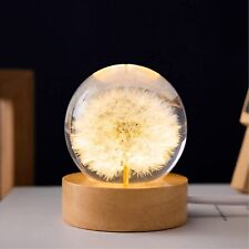 Dandelion Preserved Flower Crystal Ball Bedside Night Light Lamp picture