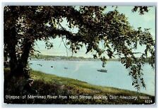 c1910's Glimpse Of Merrimac River Man On Tree Amesbury Massachusetts MA Postcard picture