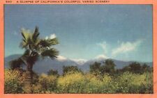 Vintage Postcard A Glimpse Of Colorful Varied Scenery Palm Trees California CA picture