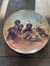 Collector Plate - AFTERNOON DELIGHT (￼ Vintage, Rare Puppy) - #1495 Danbury Mint picture