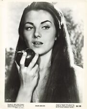 Adam and Eve Movie Photo 8x10 Christiane Martel 1956 Film Portrait   *P102a picture