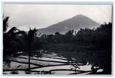 Garut West Java Indonesia Postcard Rice Terraces in Java c1910 RPPC Photo picture