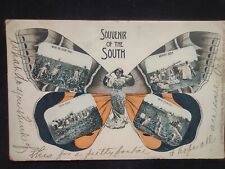 1906 Antique Souvenir of the South Post Card Fantasy Adolph Selige Butterfly  picture