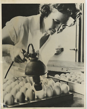 USA, Producing Vaccine Against Asian Influenza Virus Vintage Silver Print picture