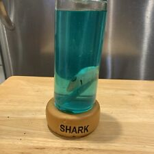 Vintage Real Shark in a Bottle Jar Oddities Specimen Marine Taxidermy picture