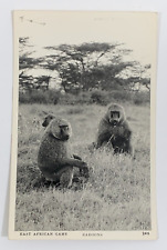 RPPC East African Game Baboons Nairobi Kenya Real Photo Postcard Unposted picture