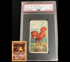 N5 Allen & Ginter Cock of the Rock Birds of the Tropics PSA 5 *1889’s Charizard* picture