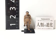 TAMA-KYU Human evolution Mascot Capsule Toy Hominid Gacha Figure picture