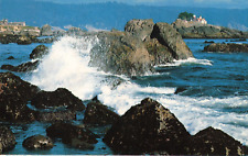 Crescent City CA, Northern Coast of California, Pebble Beach Drive, Vtg Postcard picture