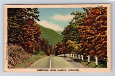Baldwin MI-Michigan, General Greetings Road, Antique, Vintage c1952 Postcard picture