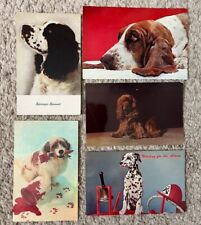 Vintage - Assorted Dog Postcards. Dexter & Others picture
