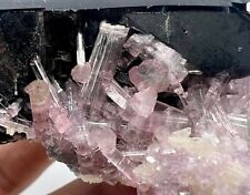F/Well Terminated Transparent Pink Tourmaline Crystals On Quartz @AFG. 553 Carat picture