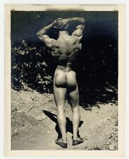 Bill Melby 1950 Bruce Of LA 5x4 Beefcake Rear View Ass Gay Physique Hunk Q8440 picture