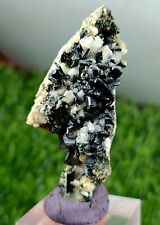 28g Rare Mineral Allanite-(Ce) aka Orthite with Honey Titanite Sphene & Garnet picture