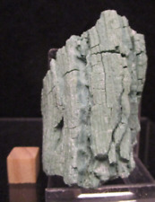 V Rare 2 3/8 Inch Triassic Green Chromium Petrified Wood Winslow Arizona picture