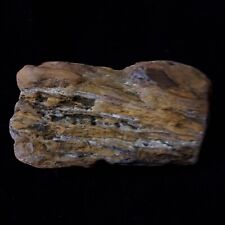 PETRIFIED FOSSIL TREE WOOD EYE CATCHER SPARKLING DRUZY CRYSTALS COLORADO 1.13LB picture