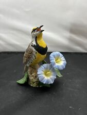 Vintage Lenox Porcelain Western Meadowlark 1992 Garden Bird Figurine Collection picture