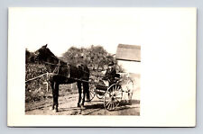 c1913 RPPC Woman in Hat Driving Horse Drawn Buggy Carriage Real Photo Postcard picture
