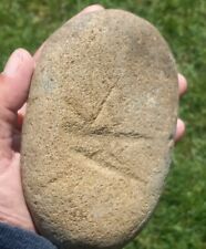 Petroglyph Incised Stone 2 insects in flight Indian Artifacts Authentic  picture