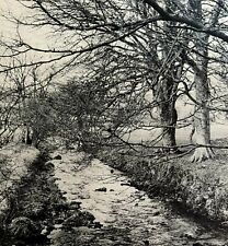 Tennyson Brook 1943 Lincolnshire Field Literary England Photo Print DWW5A picture