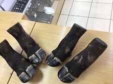 Vintage Water Buffalo leg set of 4 Foot Taxidermy  picture