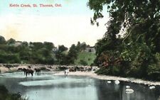 Vintage Postcard 1908 Kettle Creek Conservation Area St. Thomas Ontario Canada picture