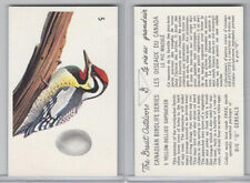 FC33-2  General Mills, Canadian Birdlife, 1960, #5 Yellow-Bellied Sapsucker picture