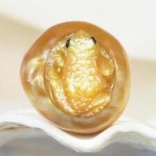 HUGE South Sea Pearl Baroque Golden Mother-of-Pearl Frog Carving undrilled 4.68g picture