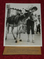 1954 Press Photo British Film Actress Mara Lane Meets Mule Capri Island Italy picture