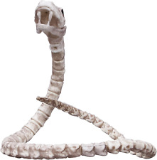 MCOSER 3.28 FT Snake Skeleton, Plastic Snake Bone Model Statue for Halloween picture