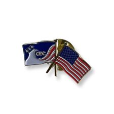 USA Flag CFC Combined Federal Campaign Crossed Flags Patriotic Lapel Pin Back picture