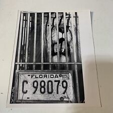 Vintage 1979 Lion In Cage Photo, 8”x10” Photograph  picture