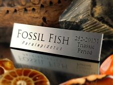 FOSSIL FISH DISPLAY NAME PLATE - EXHIBIT ARTIFACT LABEL-MUSEUM QUALITY picture