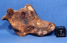 110 gram Agoudal Individual Meteorite - Iron, IIAB - Found 2000 in Morocco picture