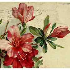 Antique 1909 Ephemera Embossed Posted Signed Postcard Lilies Floral Best Wishes picture