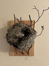 Large, mounted, Bald-Faced Hornet nest, 12” x 14” harvested without Pesticide picture