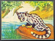 Genet 1970's Wonders of the Animal Kingdom Mini Paper Card #38 (NM) picture