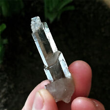 10.8g Amazing Quartz Specimen Natural Mystical Cutted & Marked By Nature Forces picture