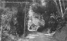 C-1910 Del Rio Woods Healdsburg California #5832 Pacific Postcard RPPC 20-6329 picture