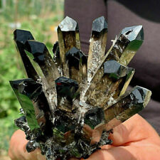 1PC New Find black Phantom Quartz Crystal Cluster Mineral Specimen Healing  Gift picture