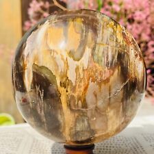 4.41lb Large Natural Petrified Wood Crystal Fossil Sphere Specimen Healing picture