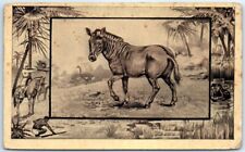 Postcard - The Guagga - Southern Africa picture