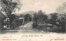 Brooklyn Bridge, Catskill Mountains, New York, 1905 Postcard, Used  picture