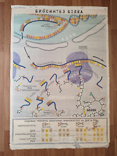 PROTEIN BIOSYNTHESIS BIOLOGY SCHOOL CHART 1968 picture