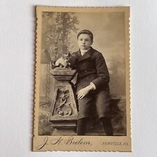Antique Cabinet Card Photograph Adorable Boy Beloved Grey Kitty Cat Newville PA picture