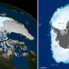 arctic_antarctic