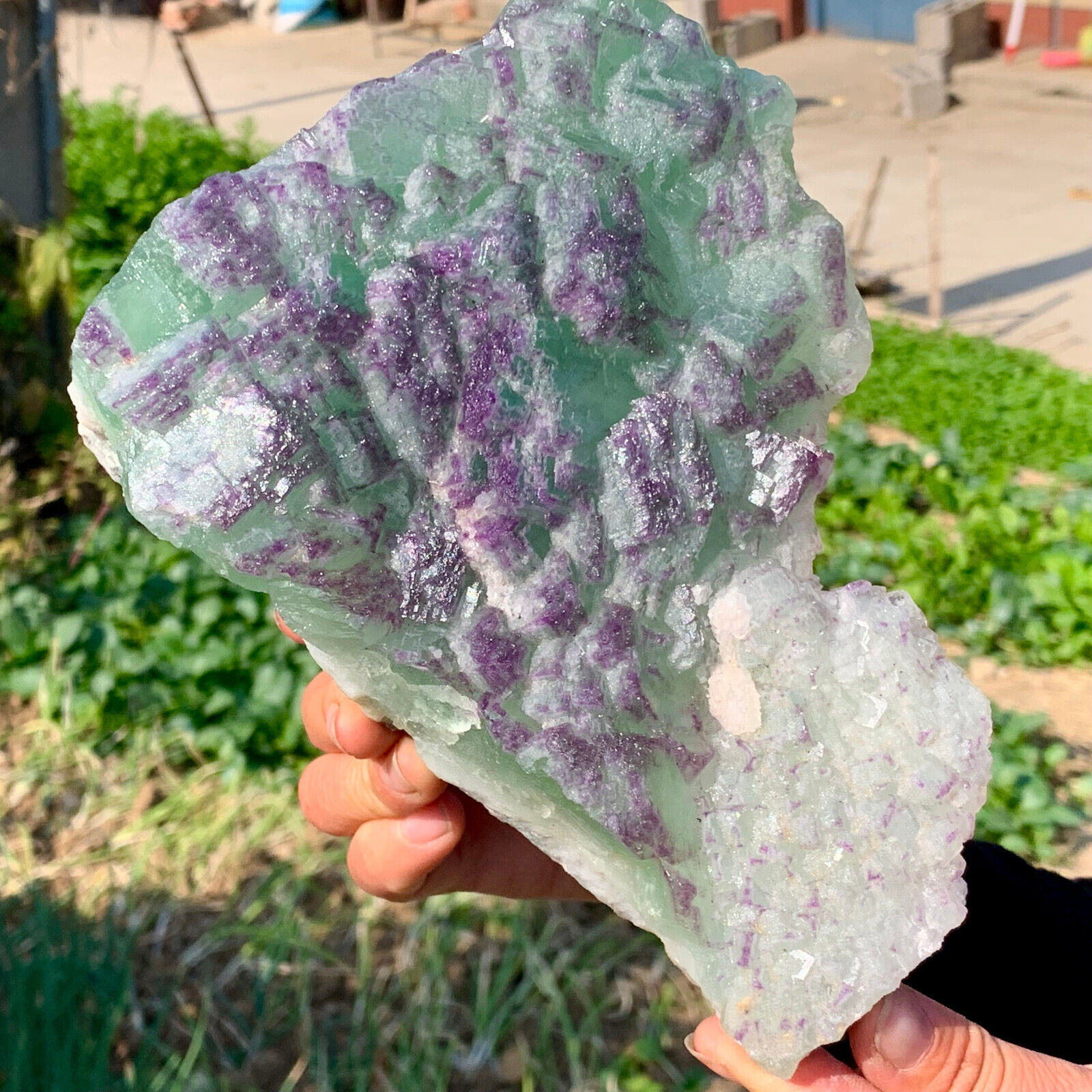 4.47LB Rare Transparent GREEN+Purple  Fluorite Mineral Crystal Specimen