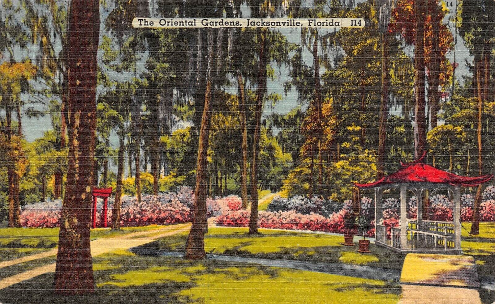 D2043 The Oriental Gardens, Jacksonville, Florida - Linen Postcard Tichnor Bros.