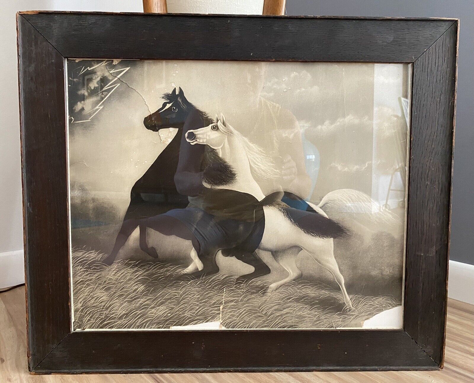 Antique Framed Black Beauty Picture. 24x20” Leroy