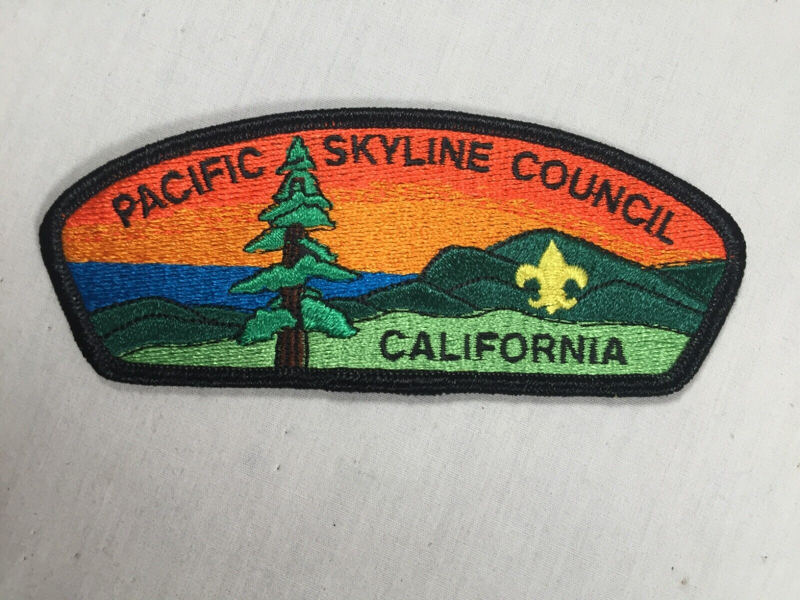 Pacific Skyline Council plastic back BSA CSP Patch